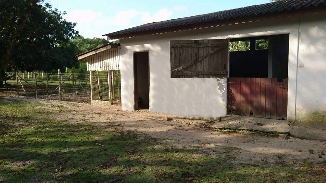 Casa à venda com 4 quartos, 40000m² - Foto 63