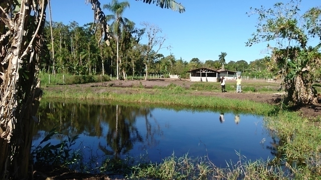 Fazenda à venda com 5 quartos, 6m² - Foto 3