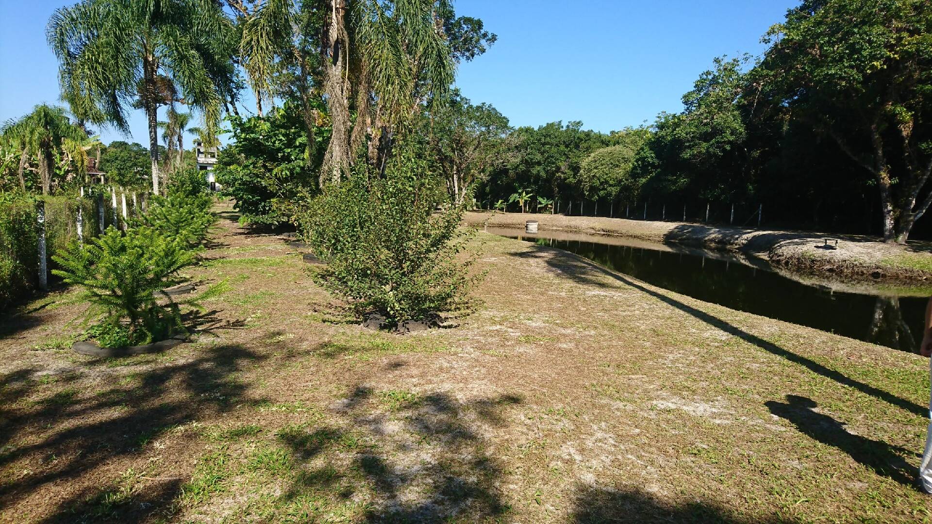 Casa à venda com 4 quartos, 40000m² - Foto 81