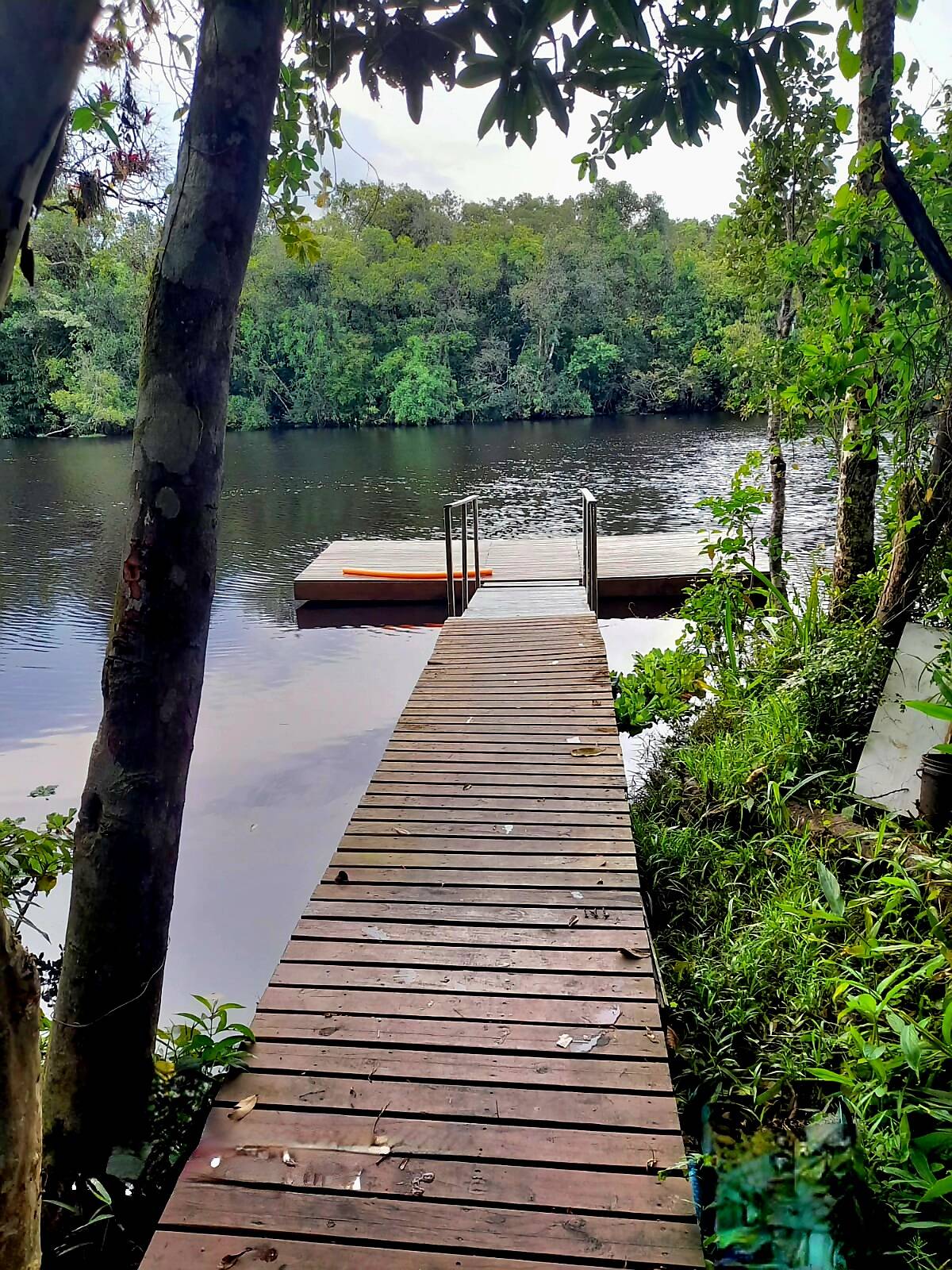 Fazenda à venda com 4 quartos, 1800m² - Foto 13