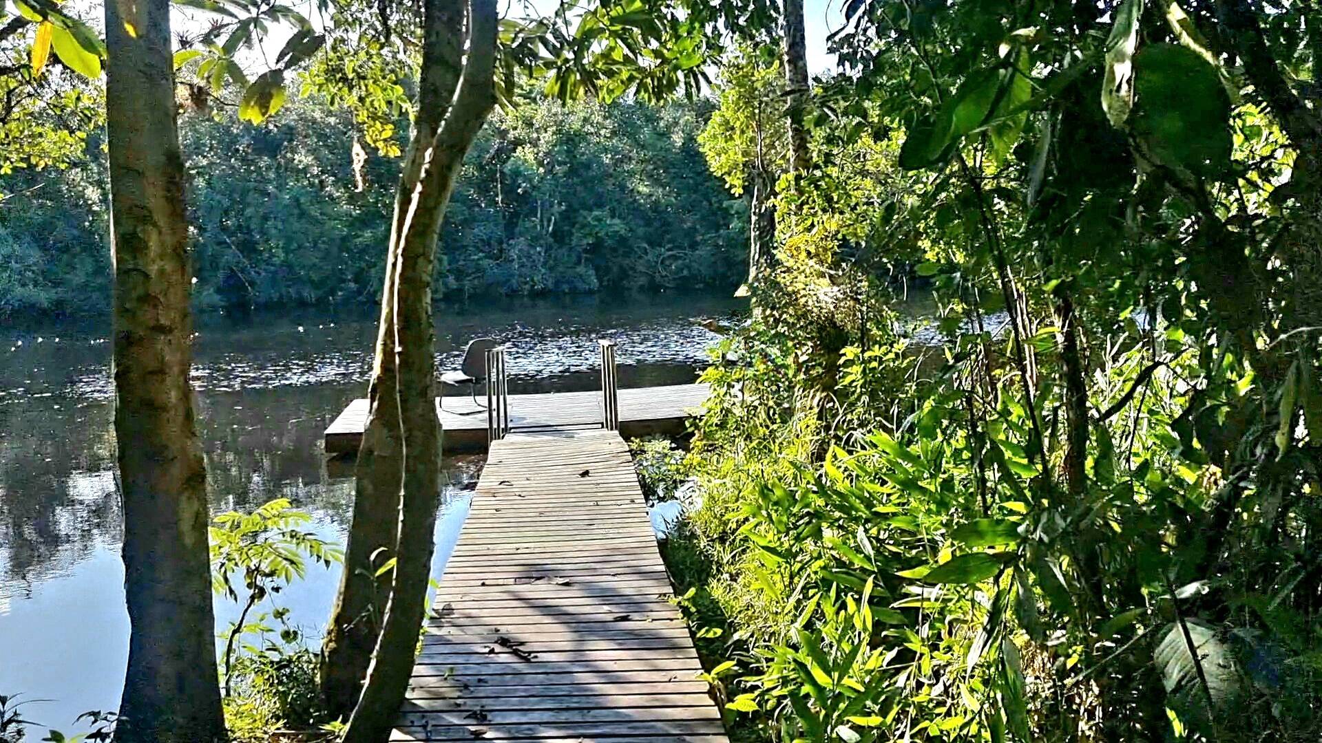 Fazenda à venda com 4 quartos, 1800m² - Foto 19