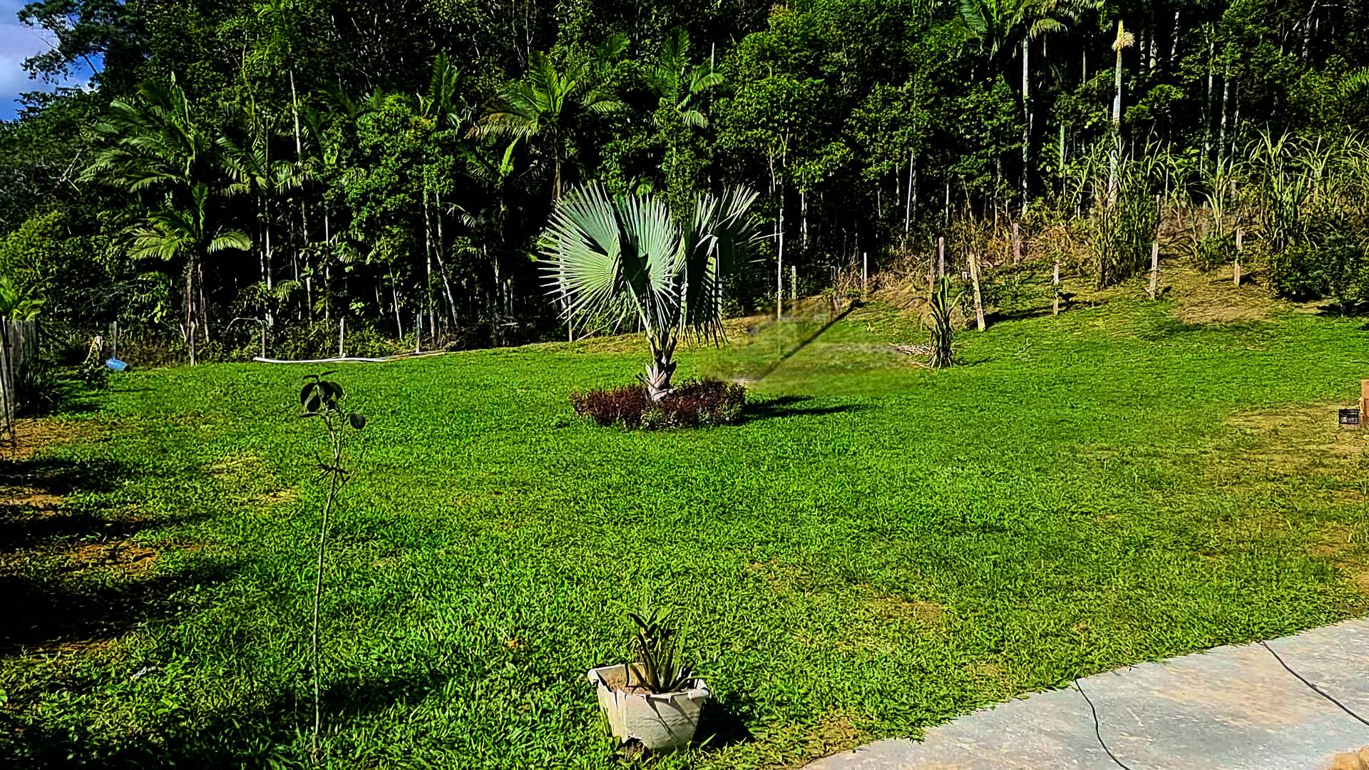 Fazenda à venda com 3 quartos, 24500m² - Foto 6