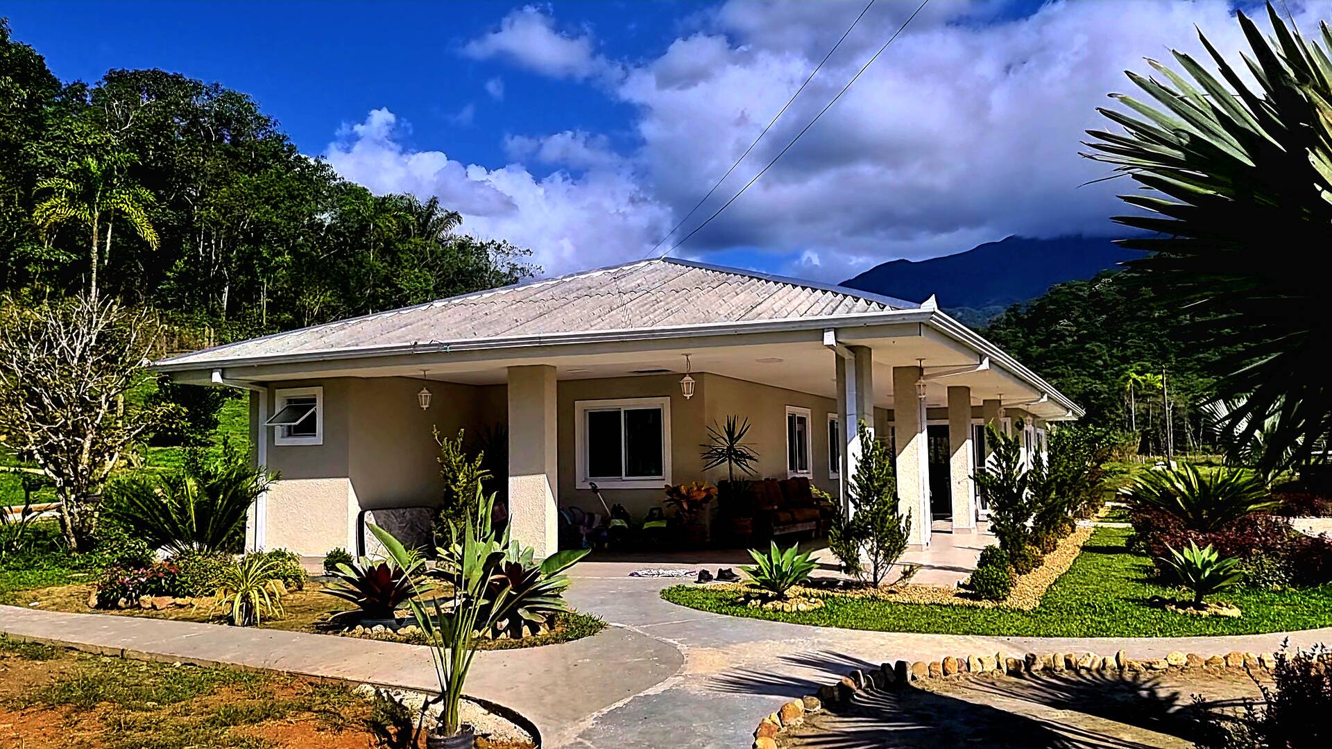 Fazenda à venda com 3 quartos, 24500m² - Foto 7