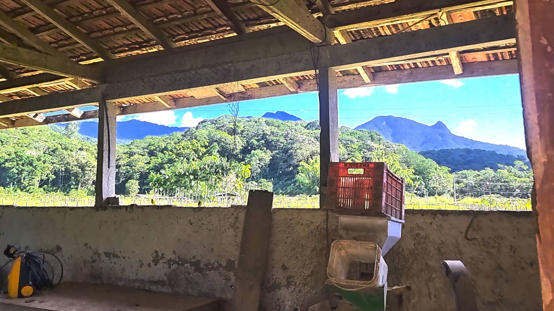 Fazenda à venda com 3 quartos, 24500m² - Foto 64