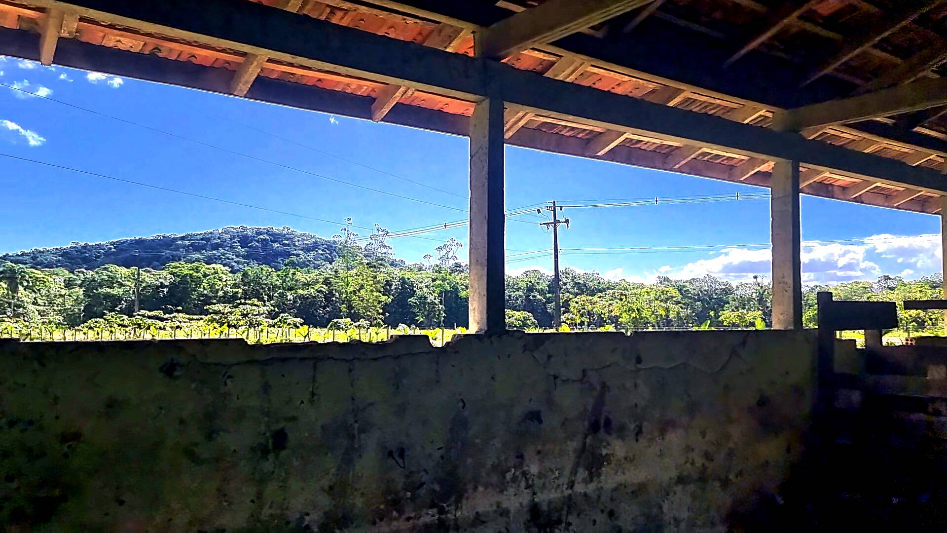 Fazenda à venda com 3 quartos, 24500m² - Foto 65