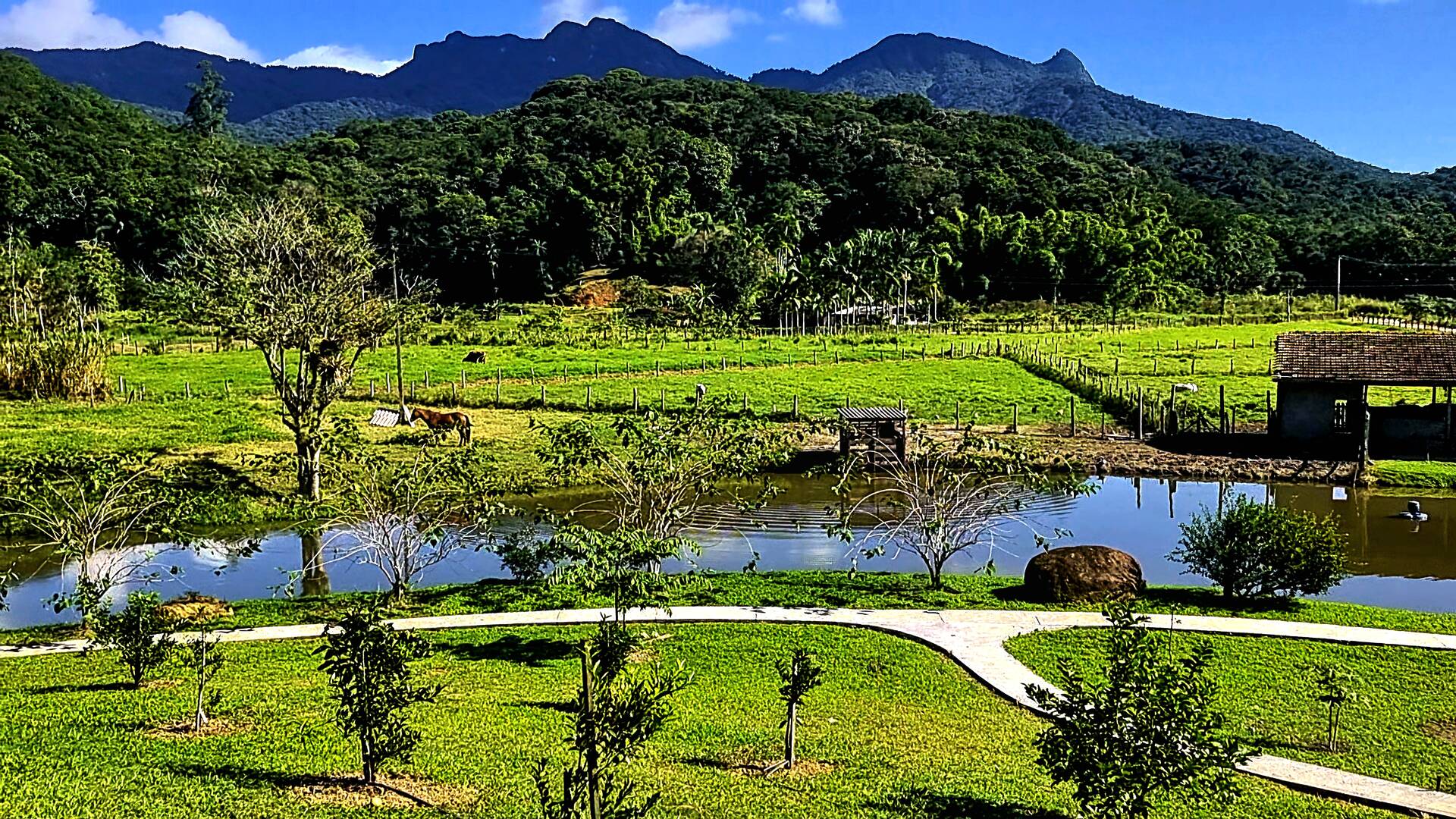 Fazenda à venda com 3 quartos, 24500m² - Foto 56