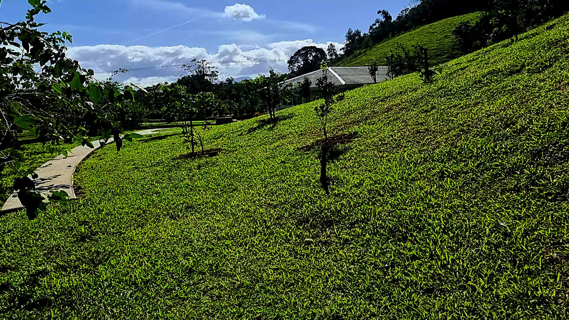 Fazenda à venda com 3 quartos, 24500m² - Foto 57