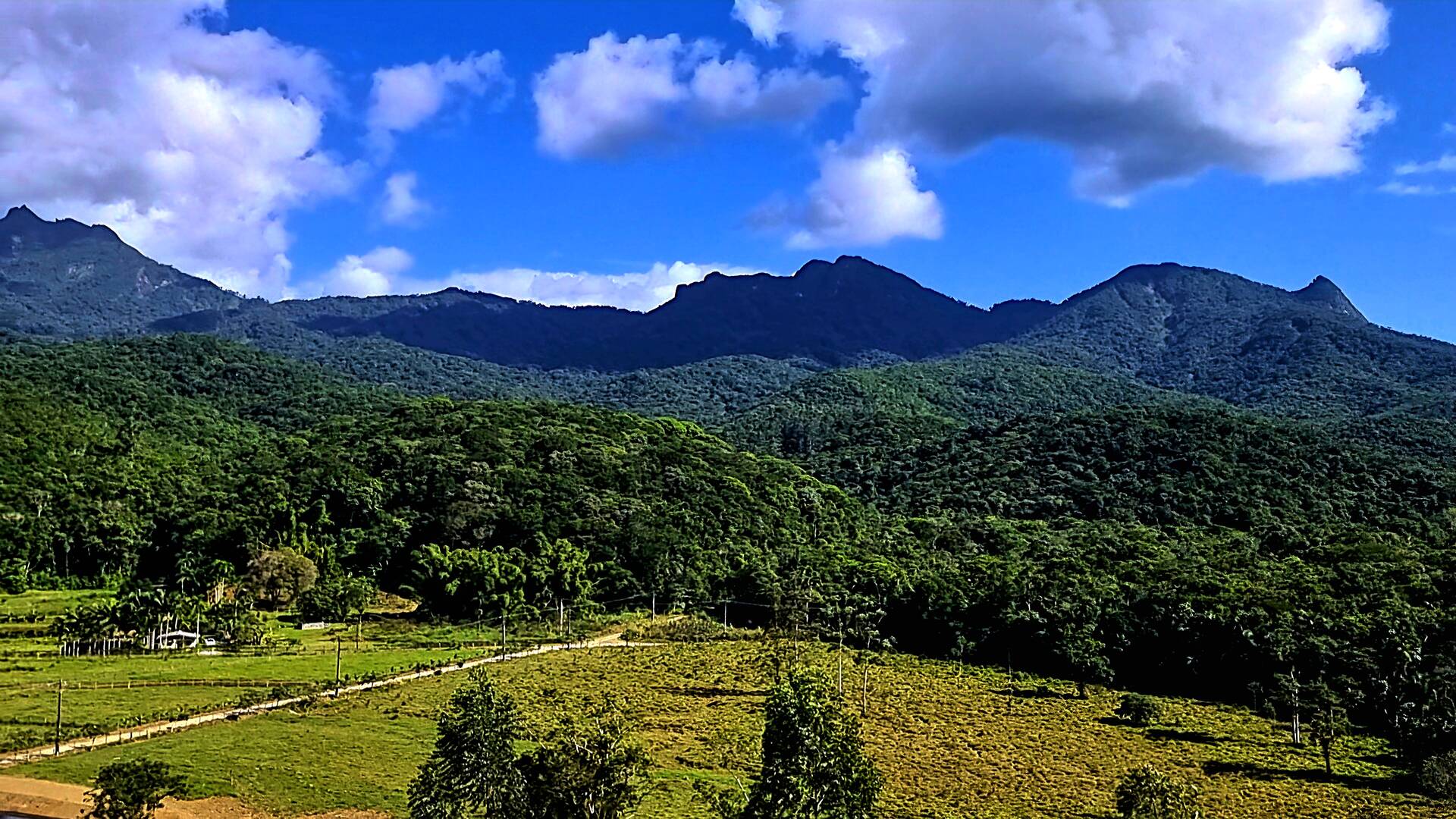 Fazenda à venda com 3 quartos, 24500m² - Foto 60