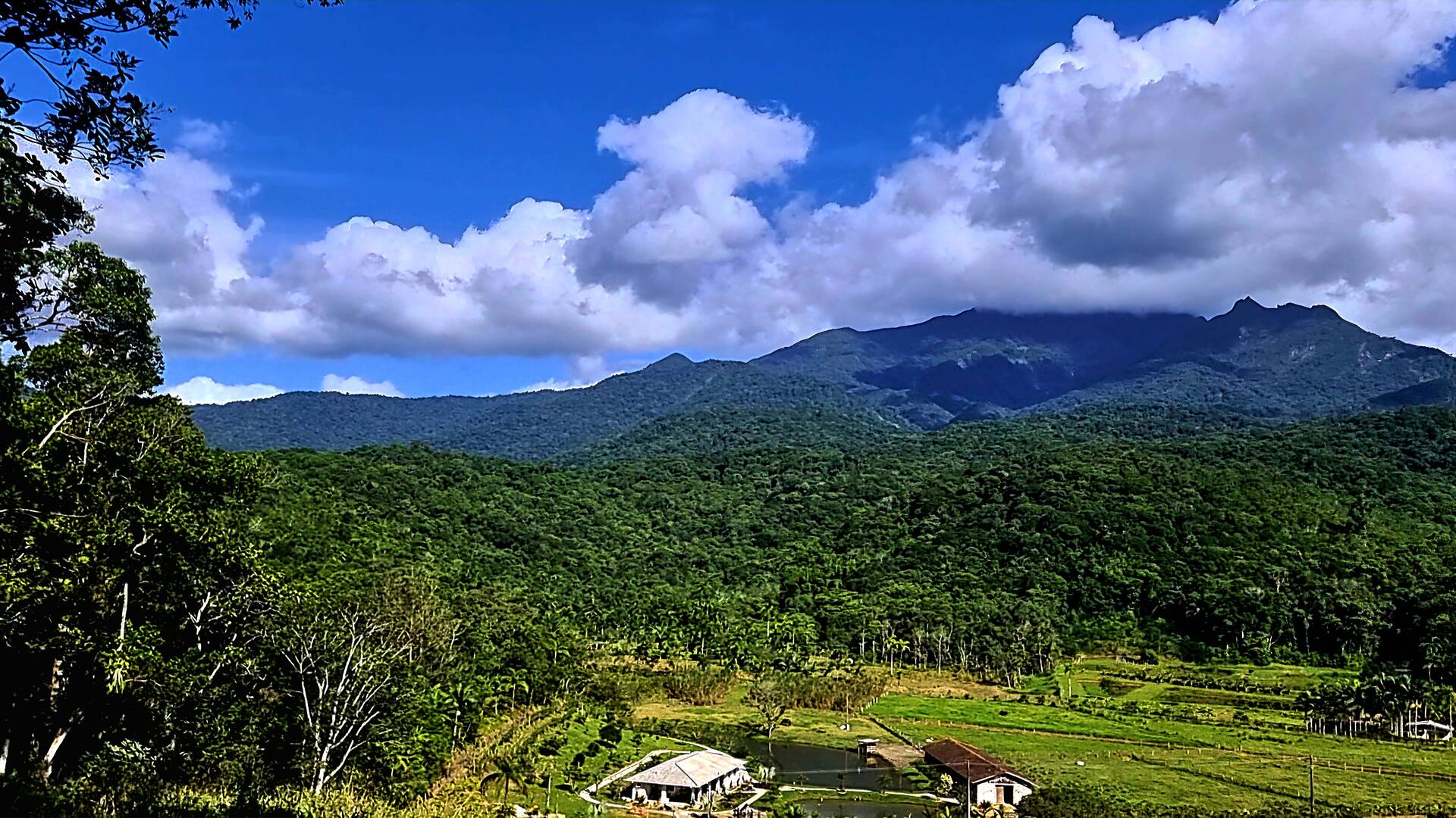 Fazenda à venda com 3 quartos, 24500m² - Foto 59