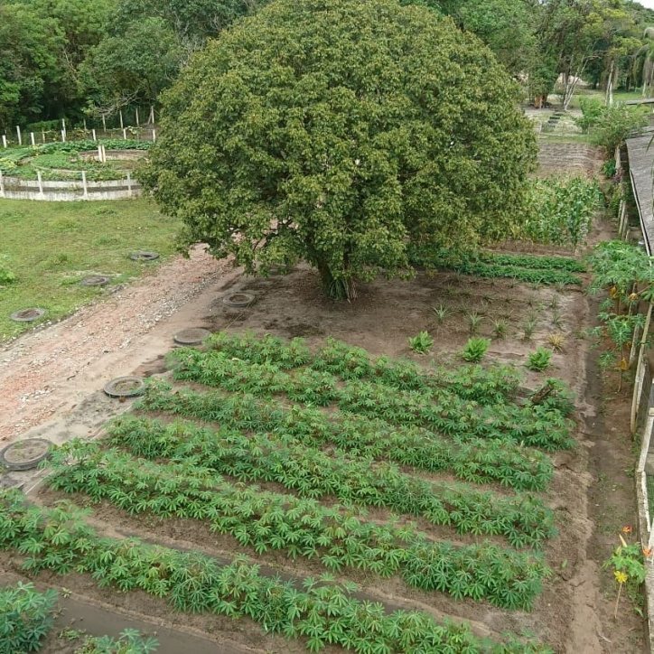 Casa à venda com 4 quartos, 40000m² - Foto 41